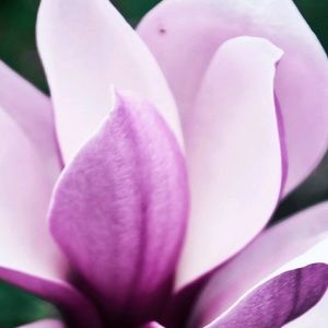 Meet your Posher, Marta